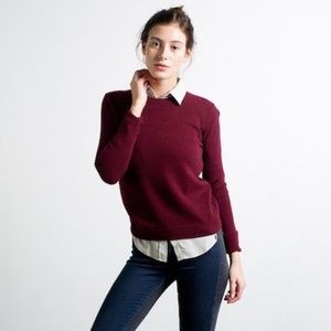 Everlane Women's Cashmere Crew, Burgundy